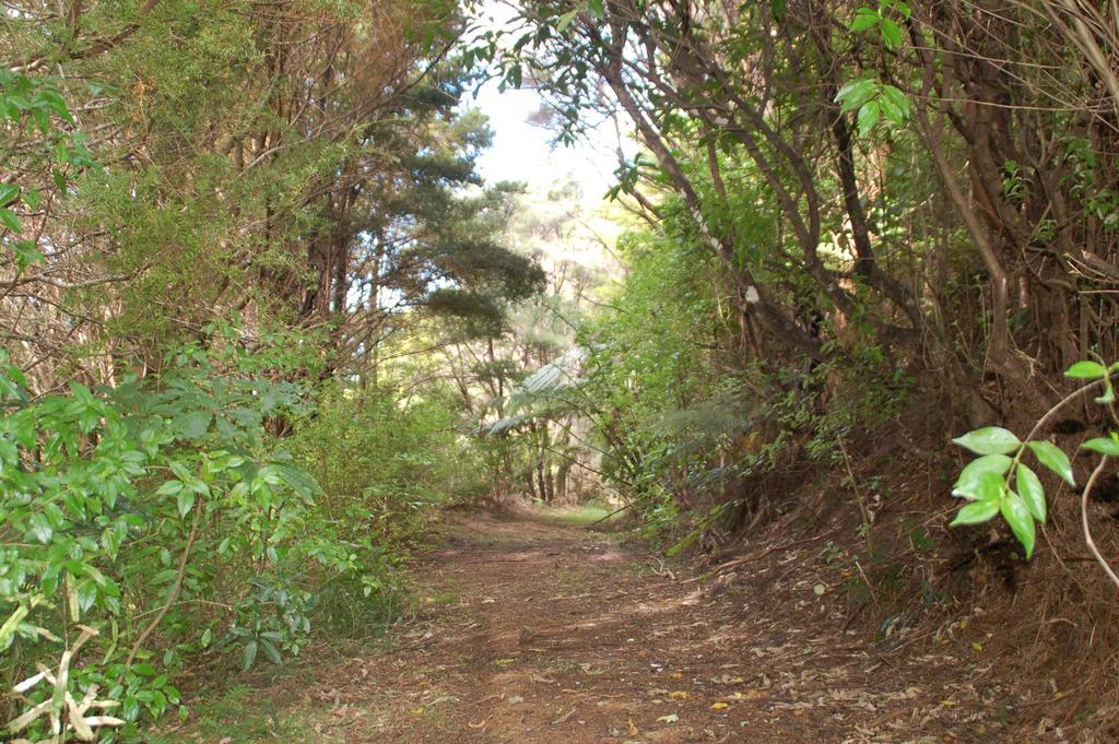 Kohinui Glade Holiday Cottage Parua Bay Kültér fotó